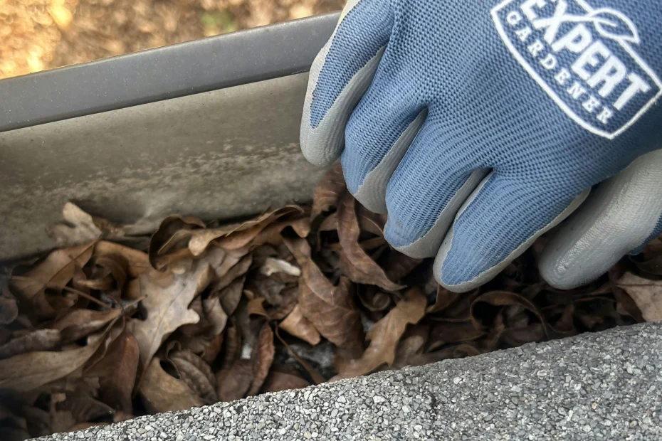 Gutter Cleaning Glendale, MO